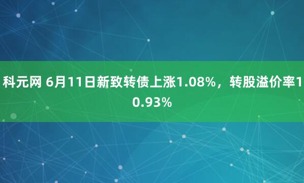 科元网 6月11日新致转债上涨1.08%，转股溢价率10.93%